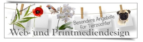 Web und Printmediendesign Wellner
